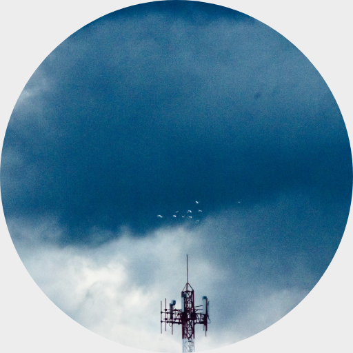 Pájaros caen del&nbsp;cielo